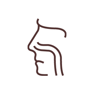PLEŤ