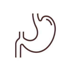 TRÁVENIE A METABOLIZMUS
